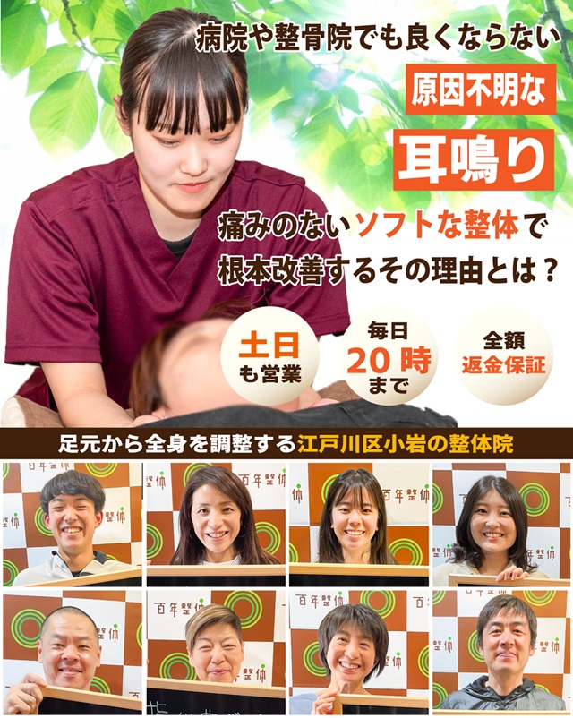 病院や整骨院でも良くならない  原因不明な耳鳴り   痛みのないソフトな整体で根本改善するその理由とは？